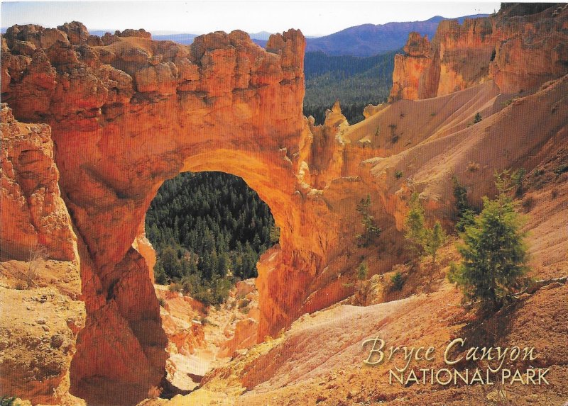 Natural Bridge Window Bryce Canyon National Park Utah 4 by 6