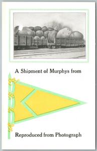 EXAGGERATED ANTIQUE POSTCARD SHIPMENT OF MURPHYS