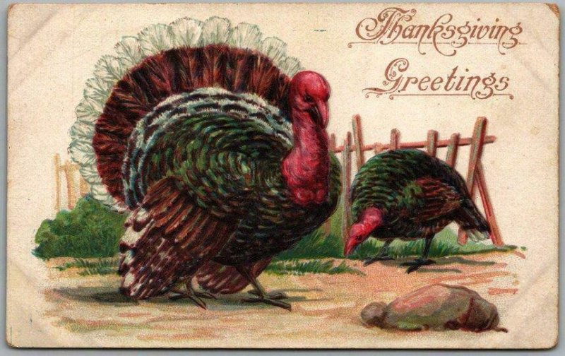 THANKSGIVING GREETINGS Embossed Postcard Turkeys in Yard / Printed in Germany