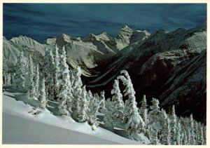 Rogers Pass From Serenity Mountain,Glacier National Park BIN