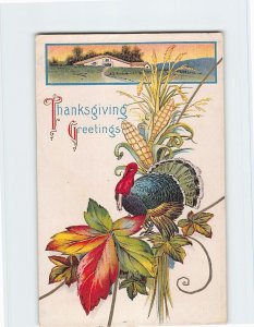 Postcard Thanksgiving Greetings with Thanksgiving Art Print