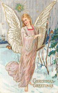 Embossed Chromograph Christmas Postcard Angel with Harp in Snow under Star