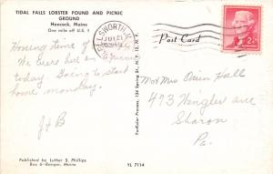 HANCOCK MAINE  TIDAL FALLS LOBSTER POUND~PICNIC GROUND~AERIAL VIEW POSTCARD 1956