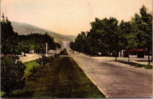 Vtg Boulevard Entering Ashland Oregon Street View OR 1940s Hand Colored Postcard