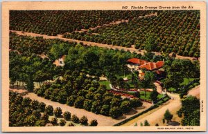 Florida FL, Aerial View of Orange Groves, Fruits Harvesting, Vintage Postcard