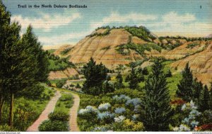 North Dakota Badlands A Typical Trail 1945