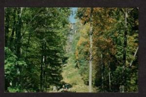 GA Amicalola Falls State Park JUNO GEORGIA Postcard PC