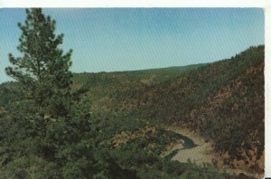 American Postcard - River Canyon - Near Auburn - California - Ref TZ3970