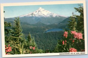 postcard Rhododendrons and Mt. Hood, Oregon