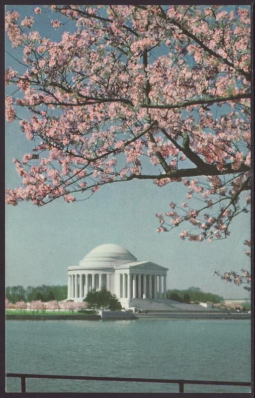 Jefferson Memorial,Washington,DC Postcard