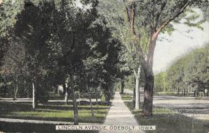 Odebolt Iowa scenic birds eye view down Lincoln Avenue antique pc Z41412