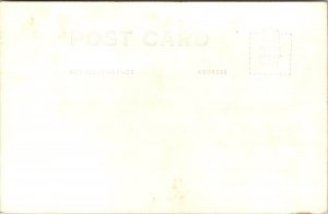 RPPC Pinnacles National Monument, CA Vintage Postcard Y68