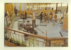 h0637 - Alum Bay Glass Blowers , Isle of Wight - postcard