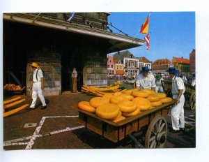 217065 HOLLAND ALKMAAR Sale cheese market old photo postcard