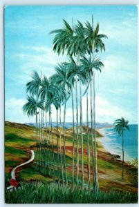 ST. JOSEPH, BARBADOS ~ Artist Ena May Carrington CABBAGE PALM  4x6 Postcard