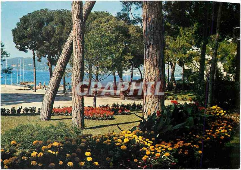 Postcard Modern French Riviera Juan les Pins