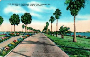Memorial Causeway,Clearwater,FL BIN