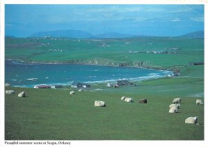 uk47441 peaceful summer scene at scapca orkney scotland uk