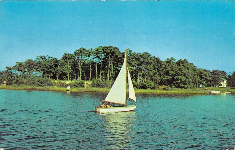 New York~St Lawrence River Valley Scene~Men on Sailboat~Postcard Mailed @ Madrid