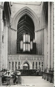 Yorkshire Postcard - The Cathedral - Ripon - Real Photograph - TZ11716