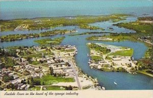 Florida Tarpon Springs Anclote River Looking Towards Gulf Of Mexico 1967 Curt...