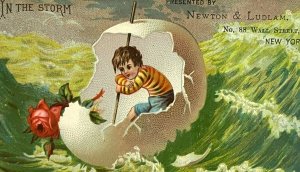 1880-1890s Card Newton Ludlam Wall Street New York Bone Fertilizer Boy Egg Rose