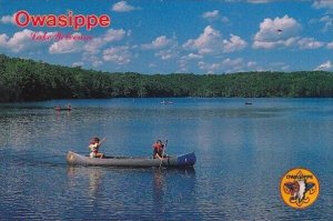 Lake Wolverine Owasippe Michigan
