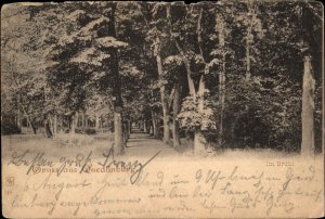 Quedlinburg Germany Gruss aus c1900 Vintage Postcard