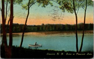 Vtg 1910s Scene At Penacook Lake Man In Boat Concord New Hampshire NH Postcard