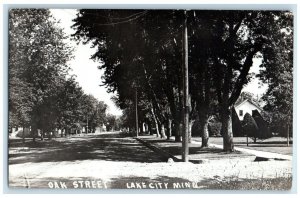 c1910's Oak Street Residence Home View Lake City MN RPPC Photo Postcard