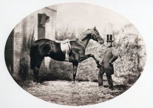 John Solomon Rarey Victorian Horse Rights Cruiser Real Photo Postcard