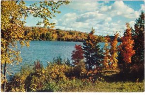 Fall Colours, Greetings From Walkers Point, Muskoka, Ontario, 1967 Postcard