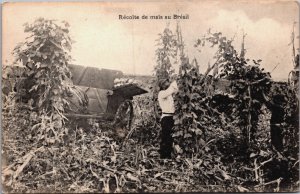 Brazil Recolte de Mais au Bresil Corn Farmer Vintage Postcard C053