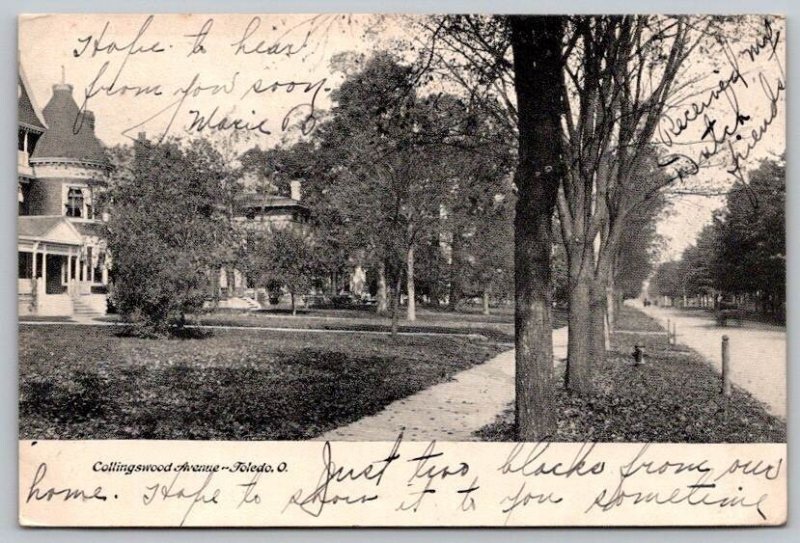Teledo Ohio, O. - Collingswood Avenue Postcard 1907 UNDB
