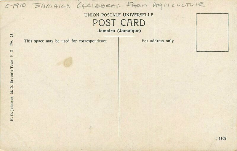 C-1910 Jamaica Caribbean Farm Agriculture Native Johnston  Postcard 20-4415