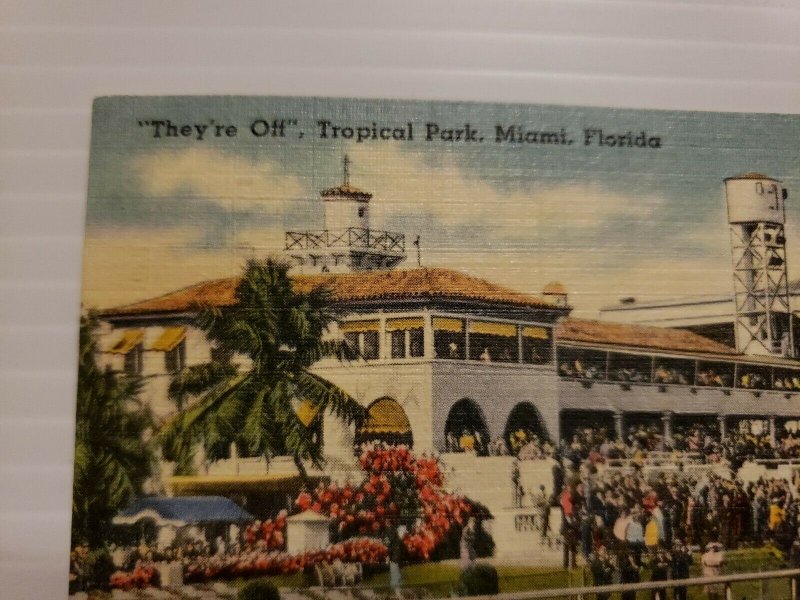 Vintage Postcard Tropical Park Gables Horse Racing Association Miami Florida 472
