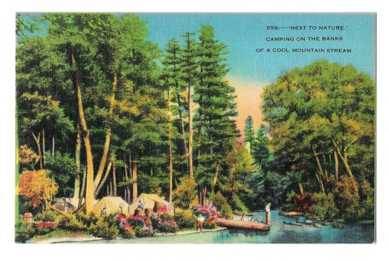 North Carolina Camping on Banks of Cool Mountain Stream NC Vintage Postcard
