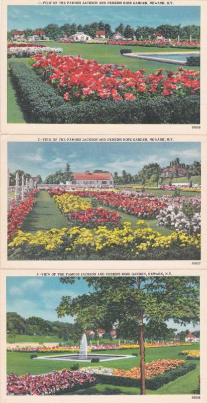 (3 cards) Jackson and Perkins Rose Gardens - Newark NY, New York - Linen