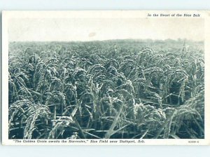 Pre-Chrome FARM SCENE Stuttgart - Near Pine Bluff & Little Rock AR AH5401