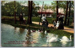 Vtg Chicago Illinois IL Garfield Park Lagoon Feeding Geese Swans 1910s Postcard