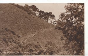 Devon Postcard - Watcombe - The Goat Path  - Ref XX893