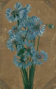 Vintage Postcard 1909 Portrait of a Beautiful Blue Flowers Blooms Floral Artwork
