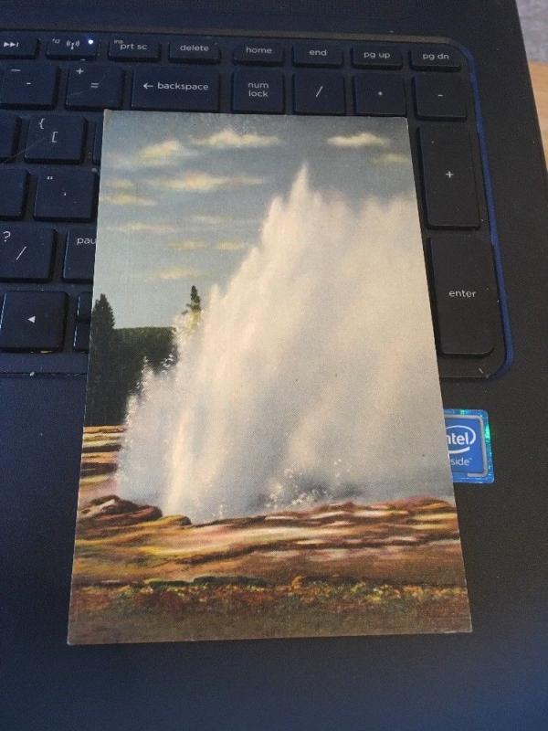 Vintage Postcard: Daisy Geyser, Yellowstone National Park