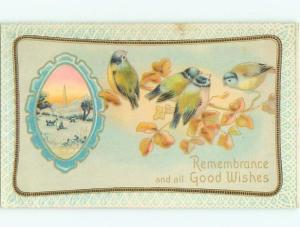 Divided-Back BIRDS SCENE Pretty Postcard AA8856