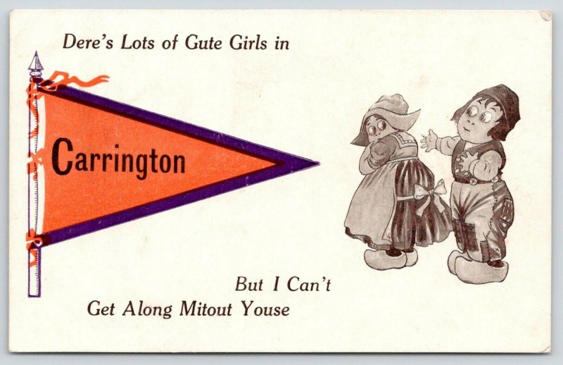 Dere's Lots of Cute Girls in Carrington North Dakota~Dutch Kids~c1910 Pennant 