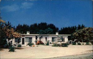 Sarasota Florida FL Motel 1950s-60s Postcard