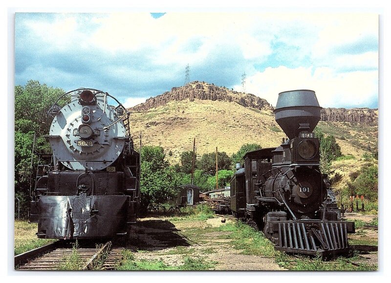 Standard & Narrow Gauge Locomotives Colorado Railroad Museum Golden CO Postcard