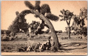 CA-California, Yucca Palms Trees On Mojave Desert, Rugged Landscape, Postcard