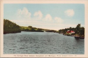 The Cardigan River btwn Georgetown & Montague PEI PE Unused PECO Postcard H42