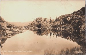 Norway Bergen Vandliljer paa Ulriken Vintage RPPC C060